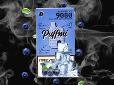 PuffMi DURA V2 Черника Лёд 9000 затяжек