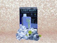 LOST MARY Ледяная Черника 4000 затяжек