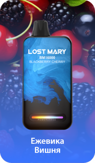 LOST MARY ВМ Ежевика Вишня 16000 затяжек